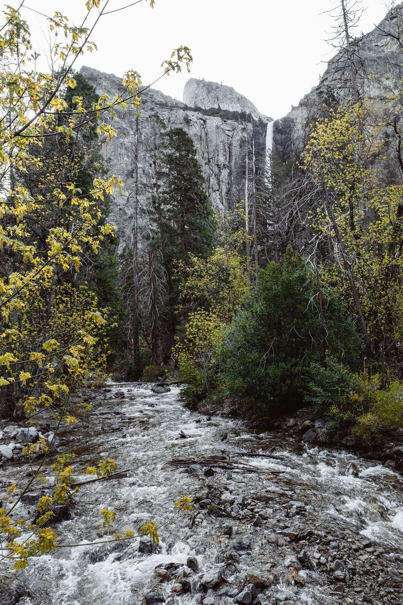 Yosemite National Park — photo 1
