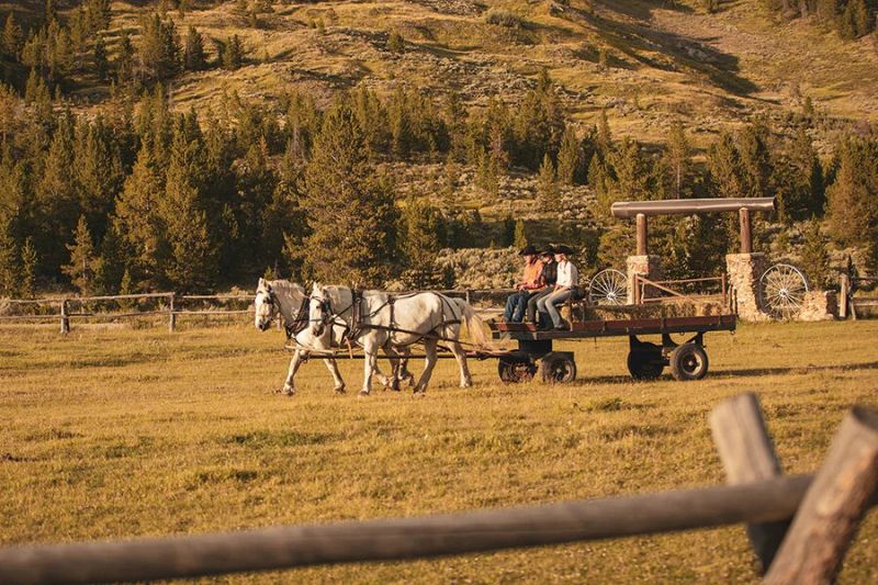 Nine Quarter Circle Ranch — photo 4