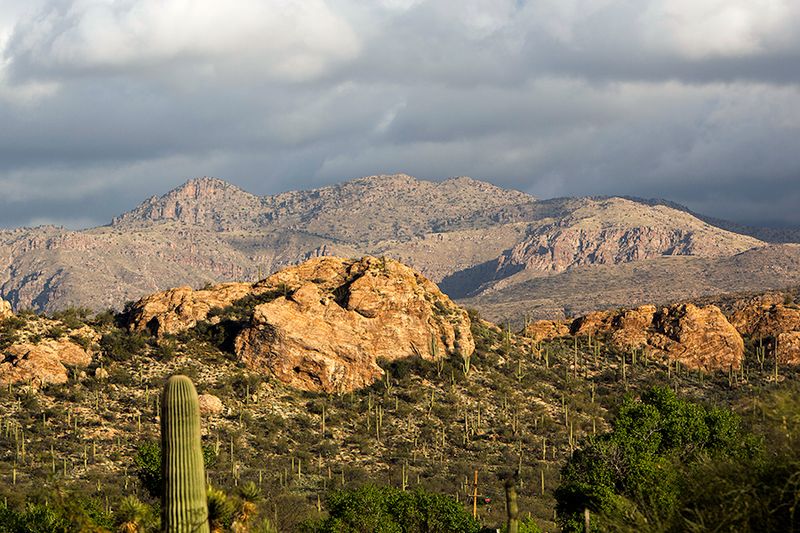 Saguaro National Park — photo 2