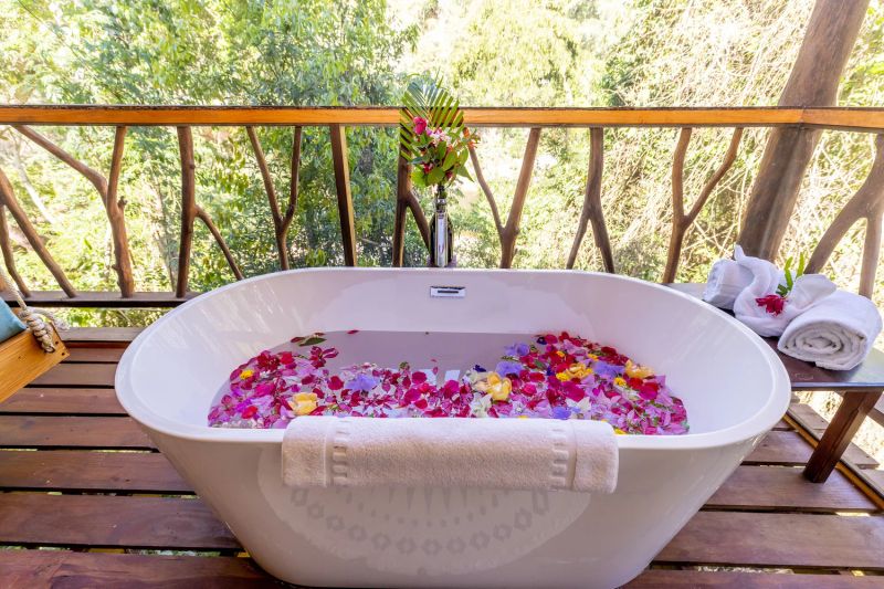 Sweet Songs Jungle Lodge Belize — photo 4