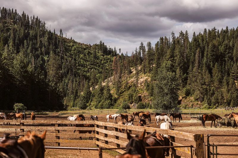 Red Horse Mountain Ranch — photo 4
