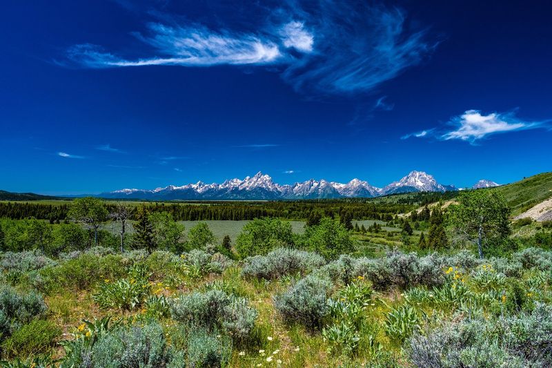 Grand Teton National Park — photo 5