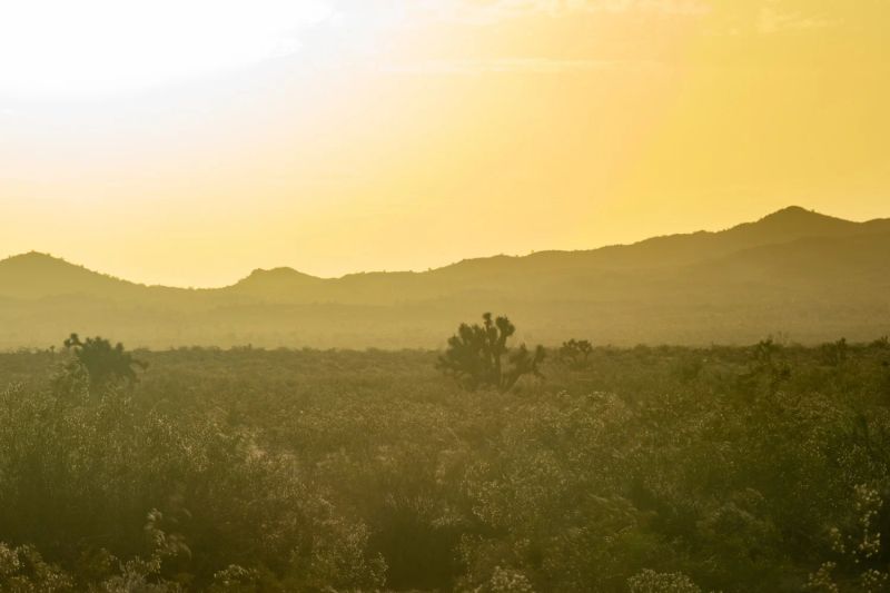 Stagecoach Trails Guest Ranch — photo 2