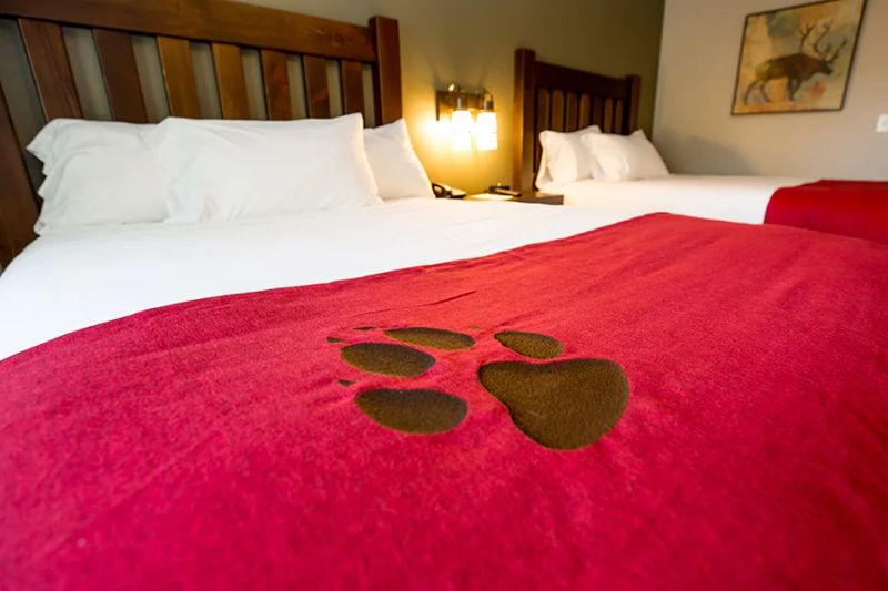 Great Wolf Lodge Chicago — photo 4