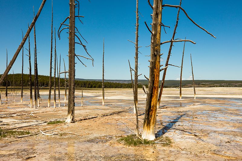 Yellowstone National Park — photo 4