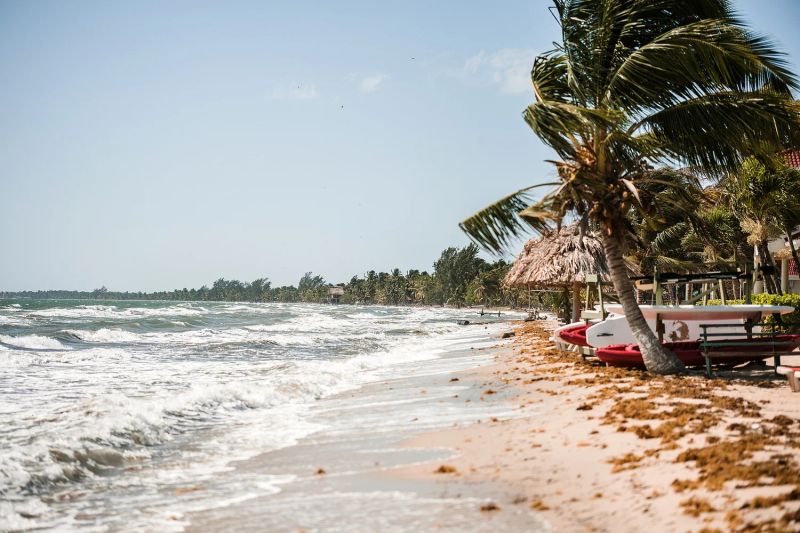 Hopkins Bay Resort Belize — photo 6
