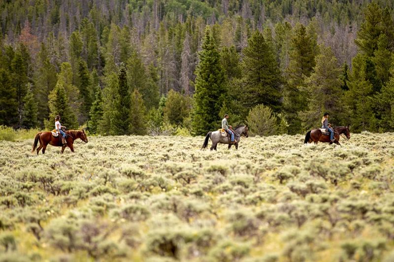 Rawah Wilderness Ranch — photo 2