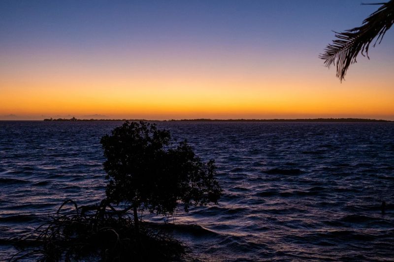 Blue Horizon Lodge Belize — photo 4