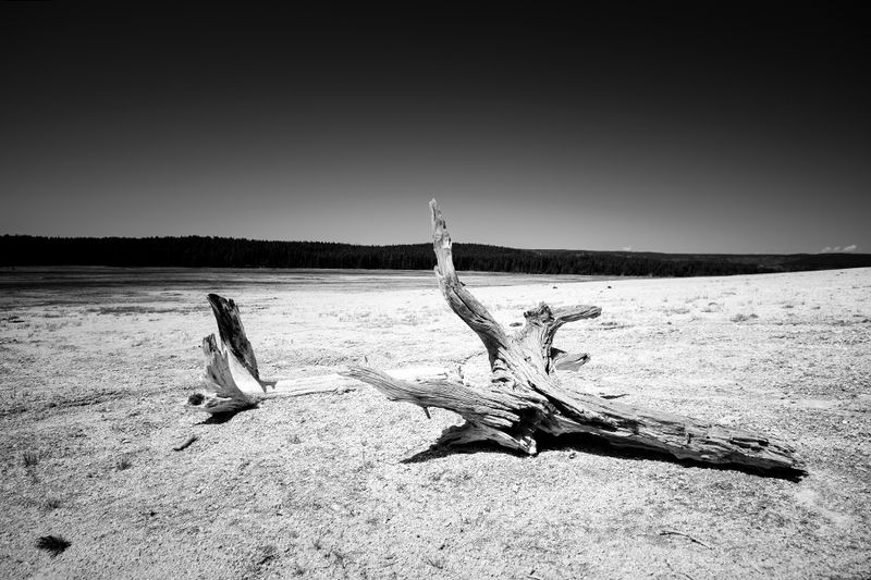 Yellowstone National Park — photo 5