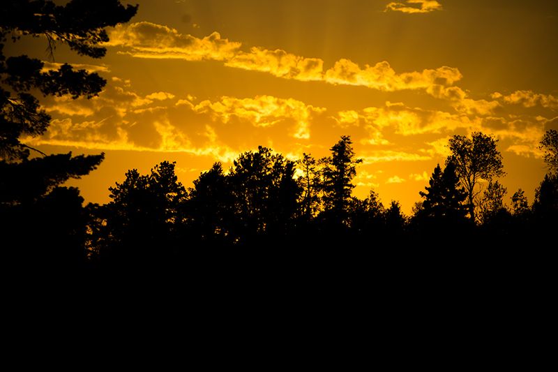 Voyageurs National Park — photo 4