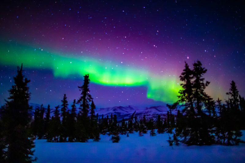Chena Hot Springs Resort — photo 7