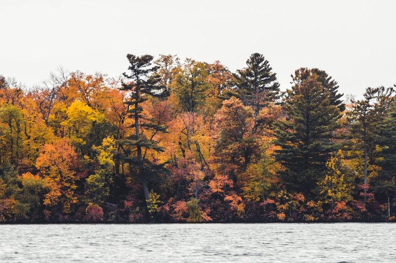 Stout’s Island Lodge — photo 7