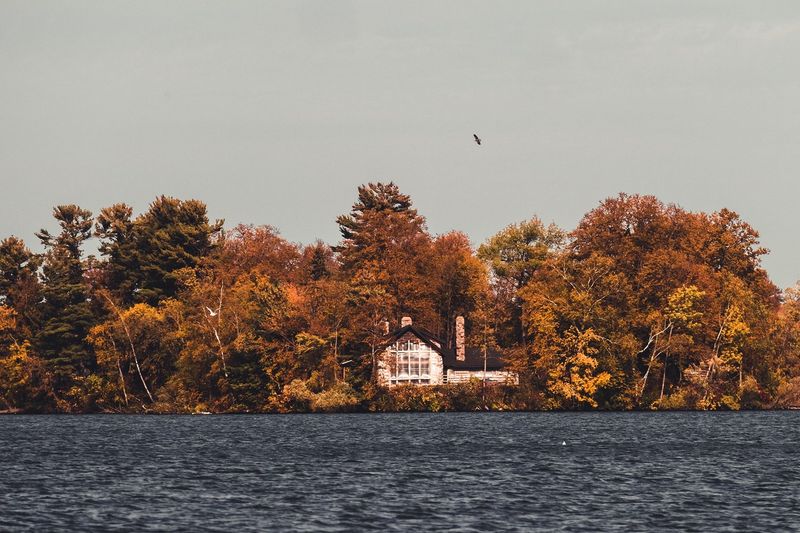 Stout’s Island Lodge — photo 3