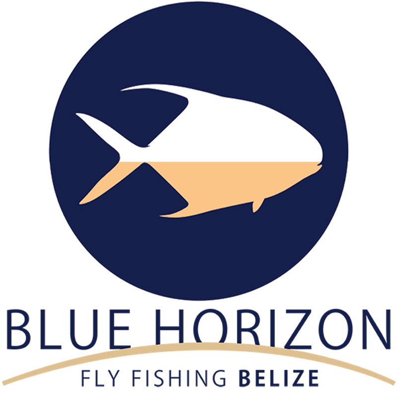 Blue Horizon Lodge Belize — photo 1