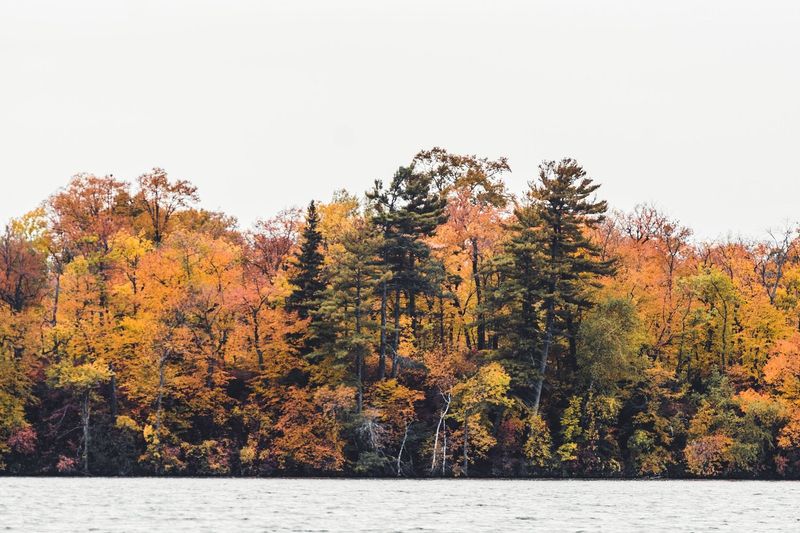 Stout’s Island Lodge — photo 8