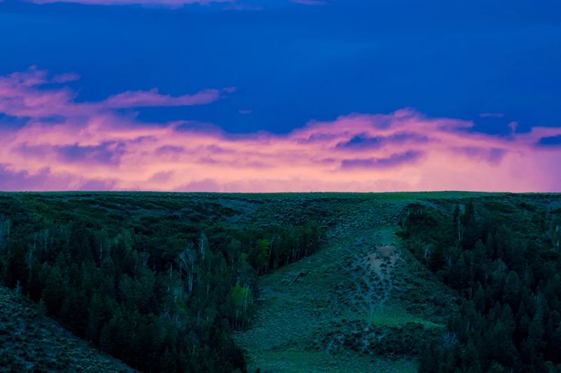 Rawah Wilderness Ranch — photo 5