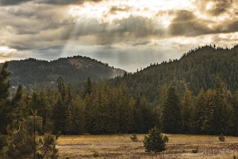 Red Horse Mountain Ranch — photo 2