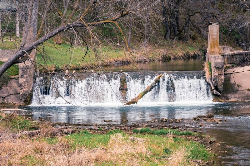 The Driftless Fly Fishing Company — photo 6