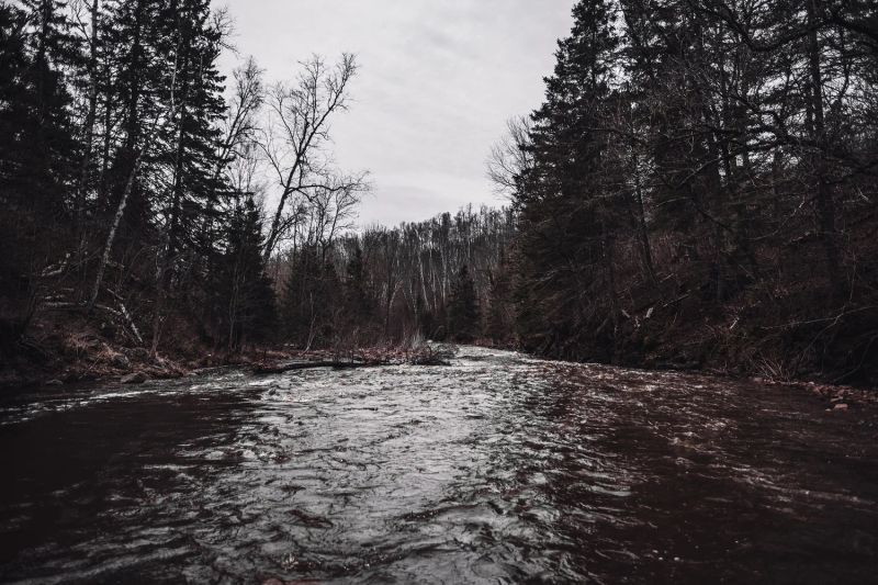 Catching Adventures — photo 7