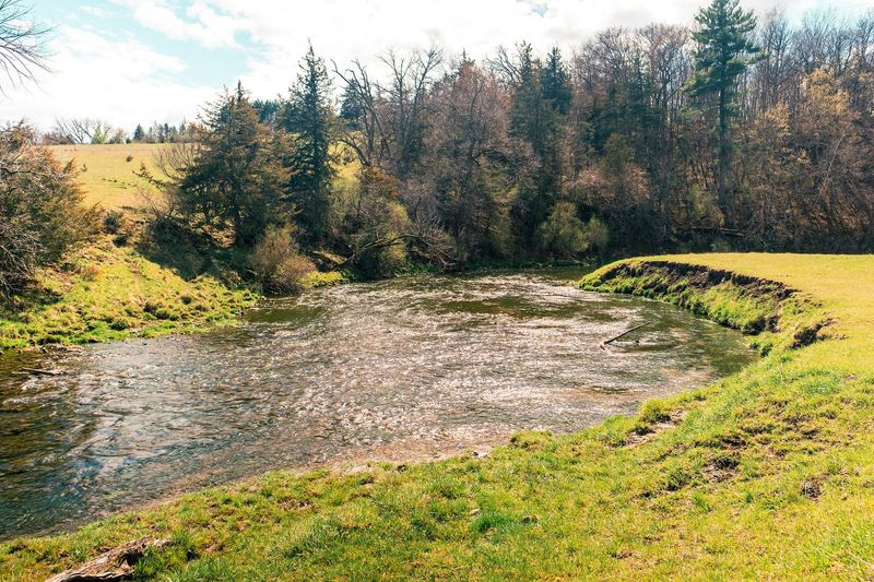 The Driftless Fly Fishing Company — photo 3