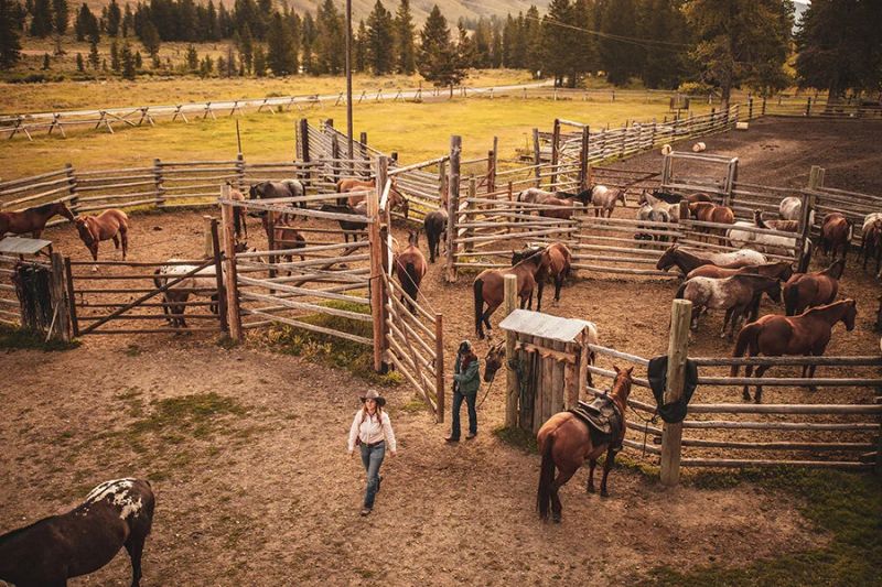 Nine Quarter Circle Ranch — photo 6