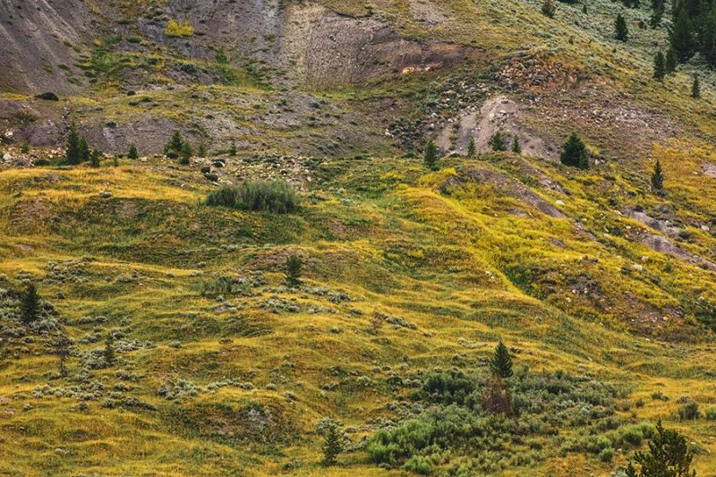 Nine Quarter Circle Ranch — photo 2