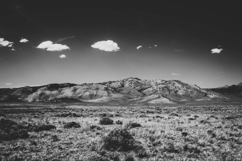 Lazy L & B Ranch — photo 7