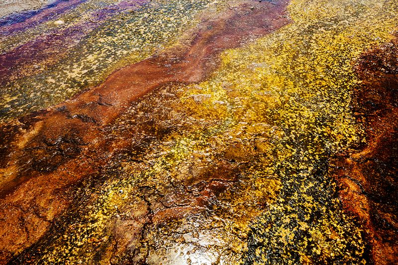 Yellowstone National Park — photo 1