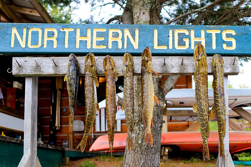 Northern Lights Resort & Outfitting — photo 8