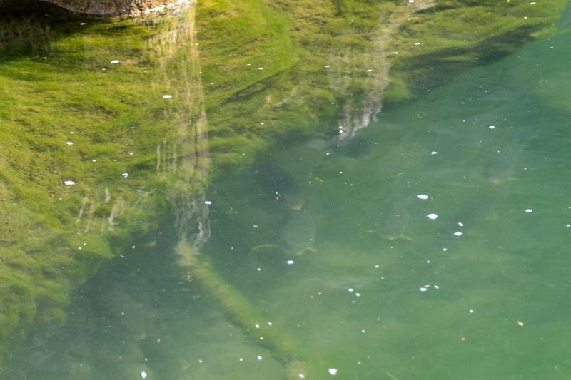 The Driftless Fly Fishing Company — photo 5