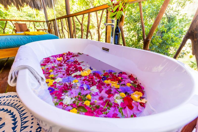 Sweet Songs Jungle Lodge Belize — photo 5