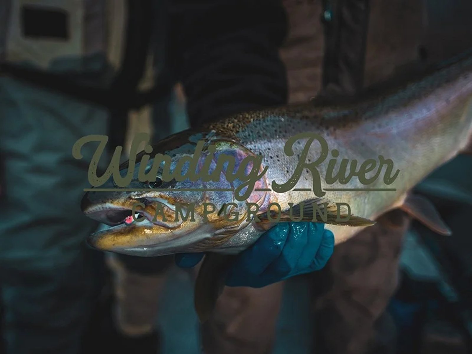 Explore | Top Midwest Sportfishing Video Production Company | Buffalo Media Group — Resort Video + Photography | Buffalo Media Group | Drone Services