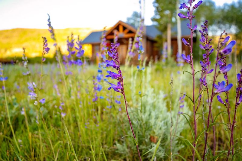 Rawah Wilderness Ranch — photo 6