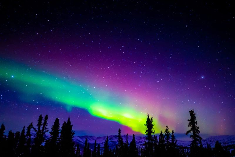Chena Hot Springs Resort — photo 8