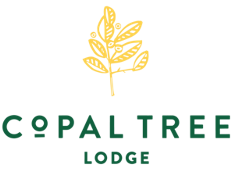 Copal Tree Lodge Belize — photo 2