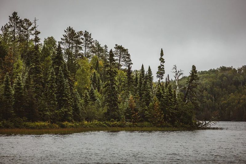 Bearskin Lodge — photo 3