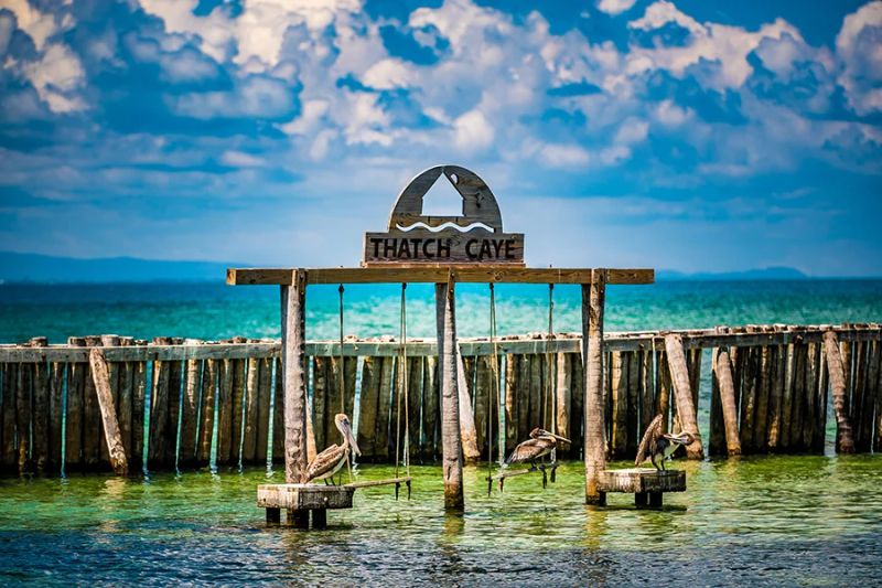 Thatch Caye Resort Belize — photo 4