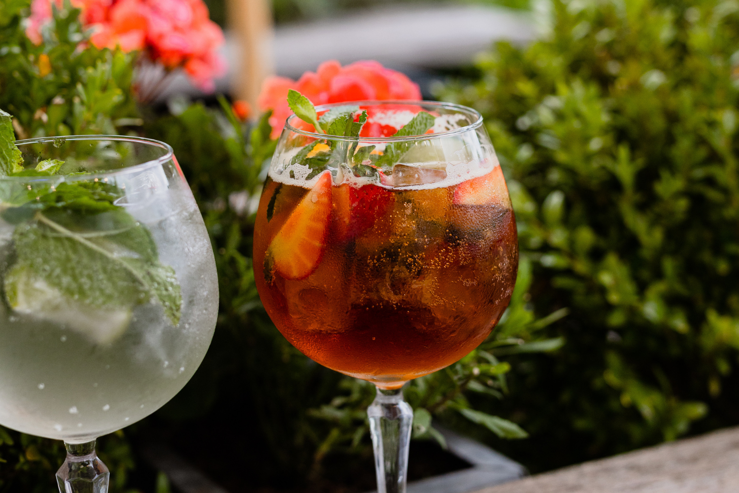 Summer Dining & Spritz