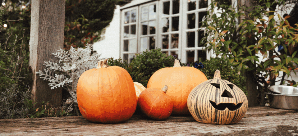 Events coming up this October and beyond