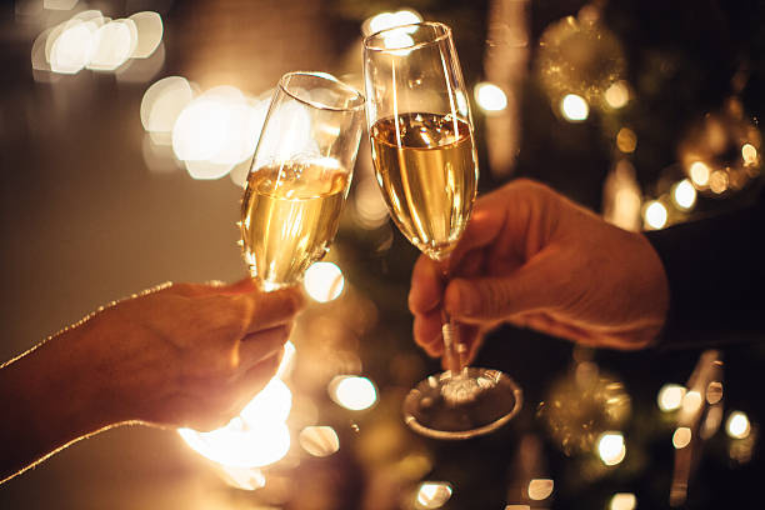 Early Bird Festive Party Offer