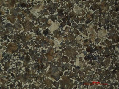 Medium-Carbon Ferrite / Pearlite​​​​‌﻿‍﻿​‍​‍‌‍﻿﻿‌﻿​‍‌‍‍‌‌‍‌﻿‌‍‍‌‌‍﻿‍​‍​‍​﻿‍‍​‍​‍‌﻿​﻿‌‍​‌‌‍﻿‍‌‍‍‌‌﻿‌​‌﻿‍‌​‍﻿‍‌‍‍‌‌‍﻿﻿​‍​‍​‍﻿​​‍​‍‌‍‍​‌﻿​‍‌‍‌‌‌‍‌‍​‍​‍​﻿‍‍​‍​‍‌‍‍​‌﻿‌​‌﻿‌​‌﻿​​‌﻿​﻿​﻿‍‍​‍﻿﻿​‍﻿﻿‌‍​﻿‌‍﻿​‌‍‌‌‌‍﻿‌‌‍‌‌‌﻿‍​​‍﻿‌‌﻿​﻿‌﻿‌​‌﻿‌‌‌‍‌​‌‍‍‌‌‍﻿﻿​‍﻿‍‌﻿‌‍‌‍‌‌‌﻿​‍‌‍​﻿‌‍‌‌‌‍﻿​​‍﻿‍‌‍​‌‌﻿​​‌﻿​​​‍﻿﻿‌‍‍‌‌‍﻿‍‌﻿‌​‌‍‌‌‌‍﻿‍‌﻿‌​​‍﻿﻿‌‍‌‌‌‍‌​‌‍‍‌‌﻿‌​​‍﻿﻿‌‍﻿‌‌‍﻿﻿‌‍‌​‌‍‌‌​﻿﻿‌‌﻿​​‌﻿​‍‌‍‌‌‌﻿​﻿‌‍‌‌‌‍﻿‍‌﻿‌​‌‍​‌‌﻿‌​‌‍‍‌‌‍﻿﻿‌‍﻿‍​﻿‍﻿‌‍‍‌‌‍‌​​﻿﻿‌​﻿‌​​﻿‍​‌‍‌​‌‍‌​​﻿‌‌​﻿‌​​﻿‌‍‌‍​﻿​‍﻿‌​﻿‌‍​﻿‌​​﻿‌‍​﻿​‍​‍﻿‌​﻿‌​‌‍​‌​﻿‍‌​﻿‍‌​‍﻿‌‌‍​‌​﻿‌​​﻿‌‍​﻿‍​​‍﻿‌‌‍​﻿​﻿​​​﻿‌​​﻿‌﻿‌‍‌‌‌‍​﻿​﻿​﻿​﻿​​‌‍​‍‌‍‌‌​﻿‌​​﻿‌﻿​﻿‍﻿‌﻿‌​‌﻿‍‌‌﻿​​‌‍‌‌​﻿﻿‌‌‍​‌‌﻿​​‌﻿​​‌‍﻿​‌‍‍‌‌‍​﻿‌‍​‌‌﻿‌​‌‍‍‌‌‍﻿﻿‌‍﻿‍​﻿‍﻿‌﻿​​‌‍​‌‌﻿‌​‌‍‍​​﻿﻿‌‌﻿​​‌‍​‌‌‍‌﻿‌‍‌‌‌​​‍‌﻿‌‌‌‍‍‌‌‍﻿​‌‍‌​‌‍‌‌‌﻿​‍​‍‌‌​﻿‌‌‌​​‍‌‌﻿﻿‌‍‍﻿‌‍‌‌‌﻿‍‌​‍‌‌​﻿​﻿‌​‌​​‍‌‌​﻿​﻿‌​‌​​‍‌‌​﻿​‍​﻿​‍‌‍‌‌​﻿‌‌​﻿‍​​﻿‍‌​﻿‍‌‌‍​‌​﻿‍‌​﻿‌‌‌‍‌‌‌‍​‍‌‍‌​​﻿‌‍​‍‌‌​﻿​‍​﻿​‍​‍‌‌​﻿‌‌‌​‌​​‍﻿‍‌‍​﻿‌‍​‌‌﻿​‍‌‍‌​‌﻿​﻿​‍‌‌​﻿‌‌‌​​‍‌‌﻿﻿‌‍‍﻿‌‍‌‌‌﻿‍‌​‍‌‌​﻿​﻿‌​‌​​‍‌‌​﻿​﻿‌​‌​​‍‌‌​﻿​‍​﻿​‍​﻿‍​‌‍‌‍​﻿‍‌​﻿‍‌‌‍​﻿​﻿‌‌​﻿‌‌‌‍​‌​﻿​﻿​﻿‌﻿​﻿‌﻿​﻿​‍​‍‌‌​﻿​‍​﻿​‍​‍‌‌​﻿‌‌‌​‌​​‍﻿‍‌﻿‌​‌‍‍‌‌﻿‌​‌‍﻿​‌‍‌‌​﻿﻿﻿‌‍​‍‌‍​‌‌﻿​﻿‌‍‌‌‌‌‌‌‌﻿​‍‌‍﻿​​﻿﻿‌‌‍‍​‌﻿‌​‌﻿‌​‌﻿​​‌﻿​﻿​‍‌‌​﻿​﻿‌​​‌​‍‌‌​﻿​‍‌​‌‍​‍‌‌​﻿​‍‌​‌‍‌‍​﻿‌‍﻿​‌‍‌‌‌‍﻿‌‌‍‌‌‌﻿‍​​‍﻿‌‌﻿​﻿‌﻿‌​‌﻿‌‌‌‍‌​‌‍‍‌‌‍﻿﻿​‍﻿‍‌﻿‌‍‌‍‌‌‌﻿​‍‌‍​﻿‌‍‌‌‌‍﻿​​‍﻿‍‌‍​‌‌﻿​​‌﻿​​​‍‌‍‌‍‍‌‌‍‌​​﻿﻿‌​﻿‌​​﻿‍​‌‍‌​‌‍‌​​﻿‌‌​﻿‌​​﻿‌‍‌‍​﻿​‍﻿‌​﻿‌‍​﻿‌​​﻿‌‍​﻿​‍​‍﻿‌​﻿‌​‌‍​‌​﻿‍‌​﻿‍‌​‍﻿‌‌‍​‌​﻿‌​​﻿‌‍​﻿‍​​‍﻿‌‌‍​﻿​﻿​​​﻿‌​​﻿‌﻿‌‍‌‌‌‍​﻿​﻿​﻿​﻿​​‌‍​‍‌‍‌‌​﻿‌​​﻿‌﻿​‍‌‍‌﻿‌​‌﻿‍‌‌﻿​​‌‍‌‌​﻿﻿‌‌‍​‌‌﻿​​‌﻿​​‌‍﻿​‌‍‍‌‌‍​﻿‌‍​‌‌﻿‌​‌‍‍‌‌‍﻿﻿‌‍﻿‍​‍‌‍‌﻿​​‌‍​‌‌﻿‌​‌‍‍​​﻿﻿‌‌﻿​​‌‍​‌‌‍‌﻿‌‍‌‌‌​​‍‌﻿‌‌‌‍‍‌‌‍﻿​‌‍‌​‌‍‌‌‌﻿​‍​‍‌‌​﻿‌‌‌​​‍‌‌﻿﻿‌‍‍﻿‌‍‌‌‌﻿‍‌​‍‌‌​﻿​﻿‌​‌​​‍‌‌​﻿​﻿‌​‌​​‍‌‌​﻿​‍​﻿​‍‌‍‌‌​﻿‌‌​﻿‍​​﻿‍‌​﻿‍‌‌‍​‌​﻿‍‌​﻿‌‌‌‍‌‌‌‍​‍‌‍‌​​﻿‌‍​‍‌‌​﻿​‍​﻿​‍​‍‌‌​﻿‌‌‌​‌​​‍﻿‍‌‍​﻿‌‍​‌‌﻿​‍‌‍‌​‌﻿​﻿​‍‌‌​﻿‌‌‌​​‍‌‌﻿﻿‌‍‍﻿‌‍‌‌‌﻿‍‌​‍‌‌​﻿​﻿‌​‌​​‍‌‌​﻿​﻿‌​‌​​‍‌‌​﻿​‍​﻿​‍​﻿‍​‌‍‌‍​﻿‍‌​﻿‍‌‌‍​﻿​﻿‌‌​﻿‌‌‌‍​‌​﻿​﻿​﻿‌﻿​﻿‌﻿​﻿​‍​‍‌‌​﻿​‍​﻿​‍​‍‌‌​﻿‌‌‌​‌​​‍﻿‍‌﻿‌​‌‍‍‌‌﻿‌​‌‍﻿​‌‍‌‌​‍‌‍‌﻿​​‌‍‌‌‌﻿​‍‌﻿​﻿‌﻿​​‌‍‌‌‌‍​﻿‌﻿‌​‌‍‍‌‌﻿‌‍‌‍‌‌​﻿﻿‌‌﻿​​‌﻿‌‌‌‍​‍‌‍﻿​‌‍‍‌‌﻿​﻿‌‍‍​‌‍‌‌‌‍‌​​‍​‍‌﻿﻿‌
