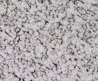 Austenitic Steel