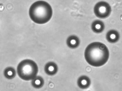 Spheres in liquid​​​​‌﻿‍﻿​‍​‍‌‍﻿﻿‌﻿​‍‌‍‍‌‌‍‌﻿‌‍‍‌‌‍﻿‍​‍​‍​﻿‍‍​‍​‍‌﻿​﻿‌‍​‌‌‍﻿‍‌‍‍‌‌﻿‌​‌﻿‍‌​‍﻿‍‌‍‍‌‌‍﻿﻿​‍​‍​‍﻿​​‍​‍‌‍‍​‌﻿​‍‌‍‌‌‌‍‌‍​‍​‍​﻿‍‍​‍​‍‌‍‍​‌﻿‌​‌﻿‌​‌﻿​​‌﻿​﻿​﻿‍‍​‍﻿﻿​‍﻿﻿‌‍​﻿‌‍﻿​‌‍‌‌‌‍﻿‌‌‍‌‌‌﻿‍​​‍﻿‌‌﻿​﻿‌﻿‌​‌﻿‌‌‌‍‌​‌‍‍‌‌‍﻿﻿​‍﻿‍‌﻿‌‍‌‍‌‌‌﻿​‍‌‍​﻿‌‍‌‌‌‍﻿​​‍﻿‍‌‍​‌‌﻿​​‌﻿​​​‍﻿﻿‌‍‍‌‌‍﻿‍‌﻿‌​‌‍‌‌‌‍﻿‍‌﻿‌​​‍﻿﻿‌‍‌‌‌‍‌​‌‍‍‌‌﻿‌​​‍﻿﻿‌‍﻿‌‌‍﻿﻿‌‍‌​‌‍‌‌​﻿﻿‌‌﻿​​‌﻿​‍‌‍‌‌‌﻿​﻿‌‍‌‌‌‍﻿‍‌﻿‌​‌‍​‌‌﻿‌​‌‍‍‌‌‍﻿﻿‌‍﻿‍​﻿‍﻿‌‍‍‌‌‍‌​​﻿﻿‌​﻿​‍​﻿​‍​﻿‌‌​﻿‌‍​﻿‌‍​﻿​​​﻿‌﻿‌‍​﻿​‍﻿‌​﻿​‍​﻿‌​​﻿‌﻿​﻿​​​‍﻿‌​﻿‌​‌‍​‌‌‍​‍​﻿​‍​‍﻿‌‌‍​‍​﻿​‍​﻿‌‍‌‍‌​​‍﻿‌​﻿​​​﻿‍​‌‍‌‍‌‍​﻿‌‍​﻿​﻿‍‌​﻿​﻿​﻿‍‌​﻿‍​​﻿‌​‌‍‌​‌‍‌‍​﻿‍﻿‌﻿‌​‌﻿‍‌‌﻿​​‌‍‌‌​﻿﻿‌‌‍​‌‌﻿​​‌﻿​​‌‍﻿​‌‍‍‌‌‍​﻿‌‍​‌‌﻿‌​‌‍‍‌‌‍﻿﻿‌‍﻿‍​﻿‍﻿‌﻿​​‌‍​‌‌﻿‌​‌‍‍​​﻿﻿‌‌﻿​​‌‍​‌‌‍‌﻿‌‍‌‌‌​​‍‌﻿‌‌‌‍‍‌‌‍﻿​‌‍‌​‌‍‌‌‌﻿​‍​‍‌‌​﻿‌‌‌​​‍‌‌﻿﻿‌‍‍﻿‌‍‌‌‌﻿‍‌​‍‌‌​﻿​﻿‌​‌​​‍‌‌​﻿​﻿‌​‌​​‍‌‌​﻿​‍​﻿​‍​﻿​​​﻿‌‍‌‍‌‌​﻿​‍‌‍‌‍‌‍​‌​﻿​​​﻿​‌​﻿​‌‌‍‌‍‌‍​‍‌‍​﻿​‍‌‌​﻿​‍​﻿​‍​‍‌‌​﻿‌‌‌​‌​​‍﻿‍‌‍​﻿‌‍​‌‌﻿​‍‌‍‌​‌﻿​﻿​‍‌‌​﻿‌‌‌​​‍‌‌﻿﻿‌‍‍﻿‌‍‌‌‌﻿‍‌​‍‌‌​﻿​﻿‌​‌​​‍‌‌​﻿​﻿‌​‌​​‍‌‌​﻿​‍​﻿​‍‌‍​﻿​﻿​​​﻿‍‌‌‍‌‍‌‍‌‌​﻿​﻿‌‍‌‍‌‍‌​​﻿​‍​﻿‌‌​﻿​‍​﻿‍​​‍‌‌​﻿​‍​﻿​‍​‍‌‌​﻿‌‌‌​‌​​‍﻿‍‌﻿‌​‌‍‍‌‌﻿‌​‌‍﻿​‌‍‌‌​﻿﻿﻿‌‍​‍‌‍​‌‌﻿​﻿‌‍‌‌‌‌‌‌‌﻿​‍‌‍﻿​​﻿﻿‌‌‍‍​‌﻿‌​‌﻿‌​‌﻿​​‌﻿​﻿​‍‌‌​﻿​﻿‌​​‌​‍‌‌​﻿​‍‌​‌‍​‍‌‌​﻿​‍‌​‌‍‌‍​﻿‌‍﻿​‌‍‌‌‌‍﻿‌‌‍‌‌‌﻿‍​​‍﻿‌‌﻿​﻿‌﻿‌​‌﻿‌‌‌‍‌​‌‍‍‌‌‍﻿﻿​‍﻿‍‌﻿‌‍‌‍‌‌‌﻿​‍‌‍​﻿‌‍‌‌‌‍﻿​​‍﻿‍‌‍​‌‌﻿​​‌﻿​​​‍‌‍‌‍‍‌‌‍‌​​﻿﻿‌​﻿​‍​﻿​‍​﻿‌‌​﻿‌‍​﻿‌‍​﻿​​​﻿‌﻿‌‍​﻿​‍﻿‌​﻿​‍​﻿‌​​﻿‌﻿​﻿​​​‍﻿‌​﻿‌​‌‍​‌‌‍​‍​﻿​‍​‍﻿‌‌‍​‍​﻿​‍​﻿‌‍‌‍‌​​‍﻿‌​﻿​​​﻿‍​‌‍‌‍‌‍​﻿‌‍​﻿​﻿‍‌​﻿​﻿​﻿‍‌​﻿‍​​﻿‌​‌‍‌​‌‍‌‍​‍‌‍‌﻿‌​‌﻿‍‌‌﻿​​‌‍‌‌​﻿﻿‌‌‍​‌‌﻿​​‌﻿​​‌‍﻿​‌‍‍‌‌‍​﻿‌‍​‌‌﻿‌​‌‍‍‌‌‍﻿﻿‌‍﻿‍​‍‌‍‌﻿​​‌‍​‌‌﻿‌​‌‍‍​​﻿﻿‌‌﻿​​‌‍​‌‌‍‌﻿‌‍‌‌‌​​‍‌﻿‌‌‌‍‍‌‌‍﻿​‌‍‌​‌‍‌‌‌﻿​‍​‍‌‌​﻿‌‌‌​​‍‌‌﻿﻿‌‍‍﻿‌‍‌‌‌﻿‍‌​‍‌‌​﻿​﻿‌​‌​​‍‌‌​﻿​﻿‌​‌​​‍‌‌​﻿​‍​﻿​‍​﻿​​​﻿‌‍‌‍‌‌​﻿​‍‌‍‌‍‌‍​‌​﻿​​​﻿​‌​﻿​‌‌‍‌‍‌‍​‍‌‍​﻿​‍‌‌​﻿​‍​﻿​‍​‍‌‌​﻿‌‌‌​‌​​‍﻿‍‌‍​﻿‌‍​‌‌﻿​‍‌‍‌​‌﻿​﻿​‍‌‌​﻿‌‌‌​​‍‌‌﻿﻿‌‍‍﻿‌‍‌‌‌﻿‍‌​‍‌‌​﻿​﻿‌​‌​​‍‌‌​﻿​﻿‌​‌​​‍‌‌​﻿​‍​﻿​‍‌‍​﻿​﻿​​​﻿‍‌‌‍‌‍‌‍‌‌​﻿​﻿‌‍‌‍‌‍‌​​﻿​‍​﻿‌‌​﻿​‍​﻿‍​​‍‌‌​﻿​‍​﻿​‍​‍‌‌​﻿‌‌‌​‌​​‍﻿‍‌﻿‌​‌‍‍‌‌﻿‌​‌‍﻿​‌‍‌‌​‍‌‍‌﻿​​‌‍‌‌‌﻿​‍‌﻿​﻿‌﻿​​‌‍‌‌‌‍​﻿‌﻿‌​‌‍‍‌‌﻿‌‍‌‍‌‌​﻿﻿‌‌﻿​​‌﻿‌‌‌‍​‍‌‍﻿​‌‍‍‌‌﻿​﻿‌‍‍​‌‍‌‌‌‍‌​​‍​‍‌﻿﻿‌