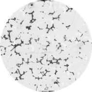 Various Image Analysis on metals