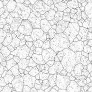 Grain & cell size​​​​‌﻿‍﻿​‍​‍‌‍﻿﻿‌﻿​‍‌‍‍‌‌‍‌﻿‌‍‍‌‌‍﻿‍​‍​‍​﻿‍‍​‍​‍‌﻿​﻿‌‍​‌‌‍﻿‍‌‍‍‌‌﻿‌​‌﻿‍‌​‍﻿‍‌‍‍‌‌‍﻿﻿​‍​‍​‍﻿​​‍​‍‌‍‍​‌﻿​‍‌‍‌‌‌‍‌‍​‍​‍​﻿‍‍​‍​‍‌‍‍​‌﻿‌​‌﻿‌​‌﻿​​‌﻿​﻿​﻿‍‍​‍﻿﻿​‍﻿﻿‌‍​﻿‌‍﻿​‌‍‌‌‌‍﻿‌‌‍‌‌‌﻿‍​​‍﻿‌‌﻿​﻿‌﻿‌​‌﻿‌‌‌‍‌​‌‍‍‌‌‍﻿﻿​‍﻿‍‌﻿‌‍‌‍‌‌‌﻿​‍‌‍​﻿‌‍‌‌‌‍﻿​​‍﻿‍‌‍​‌‌﻿​​‌﻿​​​‍﻿﻿‌‍‍‌‌‍﻿‍‌﻿‌​‌‍‌‌‌‍﻿‍‌﻿‌​​‍﻿﻿‌‍‌‌‌‍‌​‌‍‍‌‌﻿‌​​‍﻿﻿‌‍﻿‌‌‍﻿﻿‌‍‌​‌‍‌‌​﻿﻿‌‌﻿​​‌﻿​‍‌‍‌‌‌﻿​﻿‌‍‌‌‌‍﻿‍‌﻿‌​‌‍​‌‌﻿‌​‌‍‍‌‌‍﻿﻿‌‍﻿‍​﻿‍﻿‌‍‍‌‌‍‌​​﻿﻿‌​﻿‍‌​﻿‌​‌‍​‍​﻿​​​﻿‌‌‌‍‌‍​﻿‌﻿‌‍‌‍​‍﻿‌‌‍‌‌​﻿‍‌‌‍​﻿​﻿​‌​‍﻿‌​﻿‌​​﻿​‌‌‍‌​‌‍​‌​‍﻿‌​﻿‍‌‌‍‌‌‌‍​‍​﻿​‌​‍﻿‌​﻿‌﻿​﻿‌​‌‍‌‍‌‍​‌​﻿​​​﻿‌‍​﻿‍​‌‍‌‍​﻿‌‌​﻿‍​​﻿​​‌‍​﻿​﻿‍﻿‌﻿‌​‌﻿‍‌‌﻿​​‌‍‌‌​﻿﻿‌‌﻿​​‌‍​‌‌‍‌﻿‌‍‌‌​﻿‍﻿‌﻿​​‌‍​‌‌﻿‌​‌‍‍​​﻿﻿‌‌﻿​​‌‍​‌‌‍‌﻿‌‍‌‌‌​​‍‌﻿‌‌‌‍‍‌‌‍﻿​‌‍‌​‌‍‌‌‌﻿​‍​‍‌‌​﻿‌‌‌​​‍‌‌﻿﻿‌‍‍﻿‌‍‌‌‌﻿‍‌​‍‌‌​﻿​﻿‌​‌​​‍‌‌​﻿​﻿‌​‌​​‍‌‌​﻿​‍​﻿​‍‌‍‌‌‌‍‌‌​﻿‍​​﻿‌﻿​﻿‌‍‌‍​‌​﻿‌﻿‌‍​‍​﻿​‌​﻿​‍​﻿‍‌​﻿‌‌​‍‌‌​﻿​‍​﻿​‍​‍‌‌​﻿‌‌‌​‌​​‍﻿‍‌‍​﻿‌‍​‌‌﻿​‍‌‍‌​‌﻿​﻿​‍‌‌​﻿‌‌‌​​‍‌‌﻿﻿‌‍‍﻿‌‍‌‌‌﻿‍‌​‍‌‌​﻿​﻿‌​‌​​‍‌‌​﻿​﻿‌​‌​​‍‌‌​﻿​‍​﻿​‍​﻿‍​‌‍​﻿​﻿‌‌​﻿​﻿​﻿‍‌​﻿‍‌‌‍​‌​﻿​‌‌‍‌‍​﻿‍‌‌‍​‌‌‍​‍​‍‌‌​﻿​‍​﻿​‍​‍‌‌​﻿‌‌‌​‌​​‍﻿‍‌﻿‌​‌‍‍‌‌﻿‌​‌‍﻿​‌‍‌‌​﻿﻿﻿‌‍​‍‌‍​‌‌﻿​﻿‌‍‌‌‌‌‌‌‌﻿​‍‌‍﻿​​﻿﻿‌‌‍‍​‌﻿‌​‌﻿‌​‌﻿​​‌﻿​﻿​‍‌‌​﻿​﻿‌​​‌​‍‌‌​﻿​‍‌​‌‍​‍‌‌​﻿​‍‌​‌‍‌‍​﻿‌‍﻿​‌‍‌‌‌‍﻿‌‌‍‌‌‌﻿‍​​‍﻿‌‌﻿​﻿‌﻿‌​‌﻿‌‌‌‍‌​‌‍‍‌‌‍﻿﻿​‍﻿‍‌﻿‌‍‌‍‌‌‌﻿​‍‌‍​﻿‌‍‌‌‌‍﻿​​‍﻿‍‌‍​‌‌﻿​​‌﻿​​​‍‌‍‌‍‍‌‌‍‌​​﻿﻿‌​﻿‍‌​﻿‌​‌‍​‍​﻿​​​﻿‌‌‌‍‌‍​﻿‌﻿‌‍‌‍​‍﻿‌‌‍‌‌​﻿‍‌‌‍​﻿​﻿​‌​‍﻿‌​﻿‌​​﻿​‌‌‍‌​‌‍​‌​‍﻿‌​﻿‍‌‌‍‌‌‌‍​‍​﻿​‌​‍﻿‌​﻿‌﻿​﻿‌​‌‍‌‍‌‍​‌​﻿​​​﻿‌‍​﻿‍​‌‍‌‍​﻿‌‌​﻿‍​​﻿​​‌‍​﻿​‍‌‍‌﻿‌​‌﻿‍‌‌﻿​​‌‍‌‌​﻿﻿‌‌﻿​​‌‍​‌‌‍‌﻿‌‍‌‌​‍‌‍‌﻿​​‌‍​‌‌﻿‌​‌‍‍​​﻿﻿‌‌﻿​​‌‍​‌‌‍‌﻿‌‍‌‌‌​​‍‌﻿‌‌‌‍‍‌‌‍﻿​‌‍‌​‌‍‌‌‌﻿​‍​‍‌‌​﻿‌‌‌​​‍‌‌﻿﻿‌‍‍﻿‌‍‌‌‌﻿‍‌​‍‌‌​﻿​﻿‌​‌​​‍‌‌​﻿​﻿‌​‌​​‍‌‌​﻿​‍​﻿​‍‌‍‌‌‌‍‌‌​﻿‍​​﻿‌﻿​﻿‌‍‌‍​‌​﻿‌﻿‌‍​‍​﻿​‌​﻿​‍​﻿‍‌​﻿‌‌​‍‌‌​﻿​‍​﻿​‍​‍‌‌​﻿‌‌‌​‌​​‍﻿‍‌‍​﻿‌‍​‌‌﻿​‍‌‍‌​‌﻿​﻿​‍‌‌​﻿‌‌‌​​‍‌‌﻿﻿‌‍‍﻿‌‍‌‌‌﻿‍‌​‍‌‌​﻿​﻿‌​‌​​‍‌‌​﻿​﻿‌​‌​​‍‌‌​﻿​‍​﻿​‍​﻿‍​‌‍​﻿​﻿‌‌​﻿​﻿​﻿‍‌​﻿‍‌‌‍​‌​﻿​‌‌‍‌‍​﻿‍‌‌‍​‌‌‍​‍​‍‌‌​﻿​‍​﻿​‍​‍‌‌​﻿‌‌‌​‌​​‍﻿‍‌﻿‌​‌‍‍‌‌﻿‌​‌‍﻿​‌‍‌‌​‍‌‍‌﻿​​‌‍‌‌‌﻿​‍‌﻿​﻿‌﻿​​‌‍‌‌‌‍​﻿‌﻿‌​‌‍‍‌‌﻿‌‍‌‍‌‌​﻿﻿‌‌﻿​​‌﻿‌‌‌‍​‍‌‍﻿​‌‍‍‌‌﻿​﻿‌‍‍​‌‍‌‌‌‍‌​​‍​‍‌﻿﻿‌