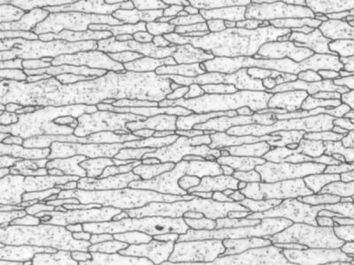 Elongated grains with dark outlines