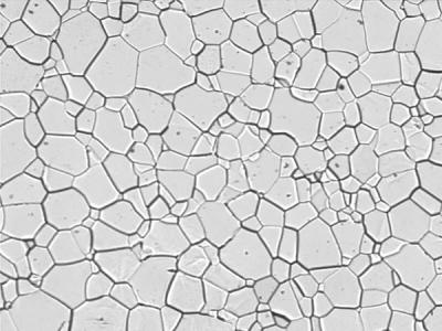 Light grains with dark outlines