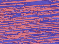 Measurement of ferrite/austenite phases