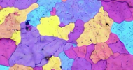 Image Analysis Applications for Metallography