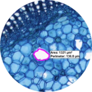 Direct measurements on various materials:​​​​‌﻿‍﻿​‍​‍‌‍﻿﻿‌﻿​‍‌‍‍‌‌‍‌﻿‌‍‍‌‌‍﻿‍​‍​‍​﻿‍‍​‍​‍‌﻿​﻿‌‍​‌‌‍﻿‍‌‍‍‌‌﻿‌​‌﻿‍‌​‍﻿‍‌‍‍‌‌‍﻿﻿​‍​‍​‍﻿​​‍​‍‌‍‍​‌﻿​‍‌‍‌‌‌‍‌‍​‍​‍​﻿‍‍​‍​‍‌‍‍​‌﻿‌​‌﻿‌​‌﻿​​‌﻿​﻿​﻿‍‍​‍﻿﻿​‍﻿﻿‌‍​﻿‌‍﻿​‌‍‌‌‌‍﻿‌‌‍‌‌‌﻿‍​​‍﻿‌‌﻿​﻿‌﻿‌​‌﻿‌‌‌‍‌​‌‍‍‌‌‍﻿﻿​‍﻿‍‌﻿‌‍‌‍‌‌‌﻿​‍‌‍​﻿‌‍‌‌‌‍﻿​​‍﻿‍‌‍​‌‌﻿​​‌﻿​​​‍﻿﻿‌‍‍‌‌‍﻿‍‌﻿‌​‌‍‌‌‌‍﻿‍‌﻿‌​​‍﻿﻿‌‍‌‌‌‍‌​‌‍‍‌‌﻿‌​​‍﻿﻿‌‍﻿‌‌‍﻿﻿‌‍‌​‌‍‌‌​﻿﻿‌‌﻿​​‌﻿​‍‌‍‌‌‌﻿​﻿‌‍‌‌‌‍﻿‍‌﻿‌​‌‍​‌‌﻿‌​‌‍‍‌‌‍﻿﻿‌‍﻿‍​﻿‍﻿‌‍‍‌‌‍‌​​﻿﻿‌‌‍‌‍​﻿‌﻿​﻿‌﻿‌‍​﻿‌‍​‌‌‍‌‌​﻿​﻿​﻿‌﻿​‍﻿‌‌‍​‌‌‍‌‌​﻿​‍‌‍​﻿​‍﻿‌​﻿‌​​﻿‍‌​﻿​﻿​﻿‌‌​‍﻿‌‌‍​‌​﻿​‍​﻿‌‍​﻿‌﻿​‍﻿‌​﻿‌﻿‌‍​‌‌‍​‌​﻿​﻿​﻿​​‌‍​‍​﻿‌‍‌‍‌‍‌‍​‍​﻿​‍​﻿​‍​﻿‌​​﻿‍﻿‌﻿‌​‌﻿‍‌‌﻿​​‌‍‌‌​﻿﻿‌‌‍​‌‌﻿​​‌﻿​​‌‍﻿​‌‍‍‌‌‍​﻿‌‍​‌‌﻿‌​‌‍‍‌‌‍﻿﻿‌‍﻿‍​﻿‍﻿‌﻿​​‌‍​‌‌﻿‌​‌‍‍​​﻿﻿‌‌﻿​​‌‍​‌‌‍‌﻿‌‍‌‌‌​​‍‌﻿‌‌‌‍‍‌‌‍﻿​‌‍‌​‌‍‌‌‌﻿​‍​‍‌‌​﻿‌‌‌​​‍‌‌﻿﻿‌‍‍﻿‌‍‌‌‌﻿‍‌​‍‌‌​﻿​﻿‌​‌​​‍‌‌​﻿​﻿‌​‌​​‍‌‌​﻿​‍​﻿​‍​﻿‌‌​﻿‍‌​﻿‍​​﻿​‍​﻿‌‍​﻿​‍​﻿​‍‌‍​﻿‌‍‌​​﻿‌﻿​﻿‌​​﻿‍‌​‍‌‌​﻿​‍​﻿​‍​‍‌‌​﻿‌‌‌​‌​​‍﻿‍‌‍​﻿‌‍​‌‌﻿​‍‌‍‌​‌﻿​﻿​‍‌‌​﻿‌‌‌​​‍‌‌﻿﻿‌‍‍﻿‌‍‌‌‌﻿‍‌​‍‌‌​﻿​﻿‌​‌​​‍‌‌​﻿​﻿‌​‌​​‍‌‌​﻿​‍​﻿​‍‌‍​‍‌‍​‌​﻿‍‌​﻿‌‌​﻿​‌​﻿‌​‌‍‌‌‌‍‌‌‌‍​﻿‌‍​‌​﻿‍​​﻿​‍‌‍​‍​﻿‍‌​﻿​​​﻿​‌‌‍​‌​﻿​​​﻿​​‌‍​﻿​﻿‌‍​﻿​‍​﻿​‍‌‍​‍‌‍​‌‌‍​‌‌‍‌‍​﻿‍‌‌‍​‍‌‍‌​‌‍‌‌​﻿​﻿​‍‌‌​﻿​‍​﻿​‍​‍‌‌​﻿‌‌‌​‌​​‍﻿‍‌﻿‌​‌‍‍‌‌﻿‌​‌‍﻿​‌‍‌‌​﻿﻿﻿‌‍​‍‌‍​‌‌﻿​﻿‌‍‌‌‌‌‌‌‌﻿​‍‌‍﻿​​﻿﻿‌‌‍‍​‌﻿‌​‌﻿‌​‌﻿​​‌﻿​﻿​‍‌‌​﻿​﻿‌​​‌​‍‌‌​﻿​‍‌​‌‍​‍‌‌​﻿​‍‌​‌‍‌‍​﻿‌‍﻿​‌‍‌‌‌‍﻿‌‌‍‌‌‌﻿‍​​‍﻿‌‌﻿​﻿‌﻿‌​‌﻿‌‌‌‍‌​‌‍‍‌‌‍﻿﻿​‍﻿‍‌﻿‌‍‌‍‌‌‌﻿​‍‌‍​﻿‌‍‌‌‌‍﻿​​‍﻿‍‌‍​‌‌﻿​​‌﻿​​​‍‌‍‌‍‍‌‌‍‌​​﻿﻿‌‌‍‌‍​﻿‌﻿​﻿‌﻿‌‍​﻿‌‍​‌‌‍‌‌​﻿​﻿​﻿‌﻿​‍﻿‌‌‍​‌‌‍‌‌​﻿​‍‌‍​﻿​‍﻿‌​﻿‌​​﻿‍‌​﻿​﻿​﻿‌‌​‍﻿‌‌‍​‌​﻿​‍​﻿‌‍​﻿‌﻿​‍﻿‌​﻿‌﻿‌‍​‌‌‍​‌​﻿​﻿​﻿​​‌‍​‍​﻿‌‍‌‍‌‍‌‍​‍​﻿​‍​﻿​‍​﻿‌​​‍‌‍‌﻿‌​‌﻿‍‌‌﻿​​‌‍‌‌​﻿﻿‌‌‍​‌‌﻿​​‌﻿​​‌‍﻿​‌‍‍‌‌‍​﻿‌‍​‌‌﻿‌​‌‍‍‌‌‍﻿﻿‌‍﻿‍​‍‌‍‌﻿​​‌‍​‌‌﻿‌​‌‍‍​​﻿﻿‌‌﻿​​‌‍​‌‌‍‌﻿‌‍‌‌‌​​‍‌﻿‌‌‌‍‍‌‌‍﻿​‌‍‌​‌‍‌‌‌﻿​‍​‍‌‌​﻿‌‌‌​​‍‌‌﻿﻿‌‍‍﻿‌‍‌‌‌﻿‍‌​‍‌‌​﻿​﻿‌​‌​​‍‌‌​﻿​﻿‌​‌​​‍‌‌​﻿​‍​﻿​‍​﻿‌‌​﻿‍‌​﻿‍​​﻿​‍​﻿‌‍​﻿​‍​﻿​‍‌‍​﻿‌‍‌​​﻿‌﻿​﻿‌​​﻿‍‌​‍‌‌​﻿​‍​﻿​‍​‍‌‌​﻿‌‌‌​‌​​‍﻿‍‌‍​﻿‌‍​‌‌﻿​‍‌‍‌​‌﻿​﻿​‍‌‌​﻿‌‌‌​​‍‌‌﻿﻿‌‍‍﻿‌‍‌‌‌﻿‍‌​‍‌‌​﻿​﻿‌​‌​​‍‌‌​﻿​﻿‌​‌​​‍‌‌​﻿​‍​﻿​‍‌‍​‍‌‍​‌​﻿‍‌​﻿‌‌​﻿​‌​﻿‌​‌‍‌‌‌‍‌‌‌‍​﻿‌‍​‌​﻿‍​​﻿​‍‌‍​‍​﻿‍‌​﻿​​​﻿​‌‌‍​‌​﻿​​​﻿​​‌‍​﻿​﻿‌‍​﻿​‍​﻿​‍‌‍​‍‌‍​‌‌‍​‌‌‍‌‍​﻿‍‌‌‍​‍‌‍‌​‌‍‌‌​﻿​﻿​‍‌‌​﻿​‍​﻿​‍​‍‌‌​﻿‌‌‌​‌​​‍﻿‍‌﻿‌​‌‍‍‌‌﻿‌​‌‍﻿​‌‍‌‌​‍‌‍‌﻿​​‌‍‌‌‌﻿​‍‌﻿​﻿‌﻿​​‌‍‌‌‌‍​﻿‌﻿‌​‌‍‍‌‌﻿‌‍‌‍‌‌​﻿﻿‌‌﻿​​‌﻿‌‌‌‍​‍‌‍﻿​‌‍‍‌‌﻿​﻿‌‍‍​‌‍‌‌‌‍‌​​‍​‍‌﻿﻿‌